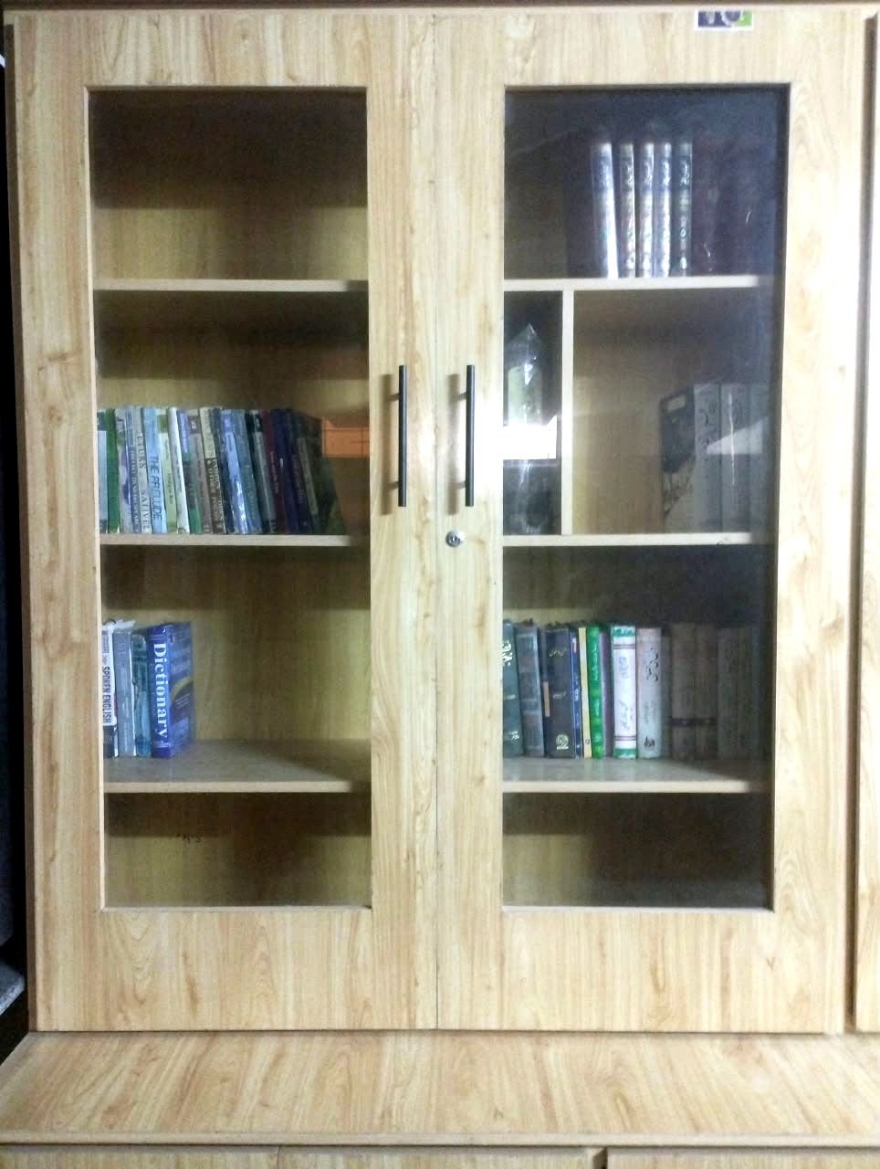 Library books and dictionaries